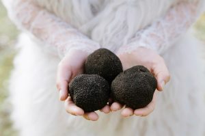 stonebarn truffles