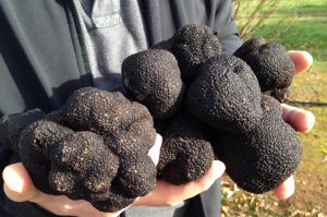 stonebarn truffles